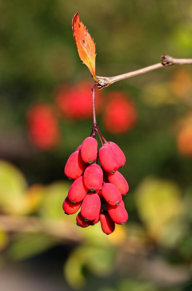 Photograph by МАРИНА