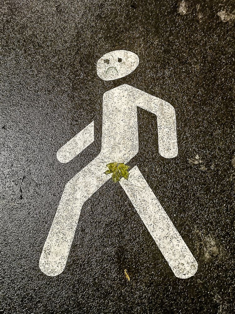 Пироговская набережная.