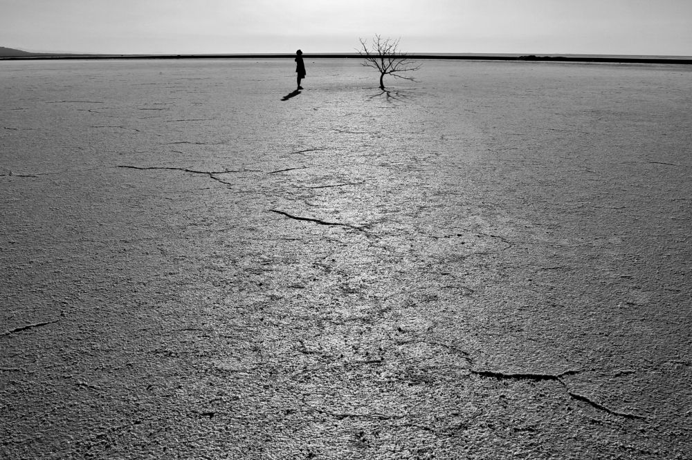 Photograph by mokhalad albu mohamad