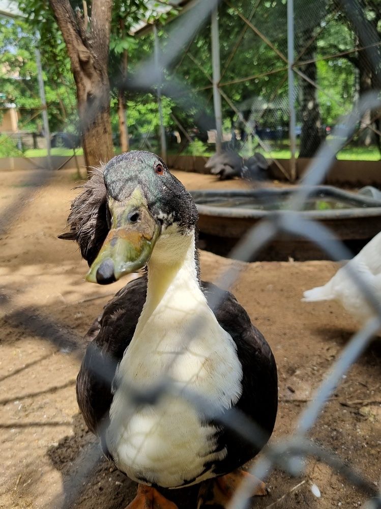 Photograph by Ольга