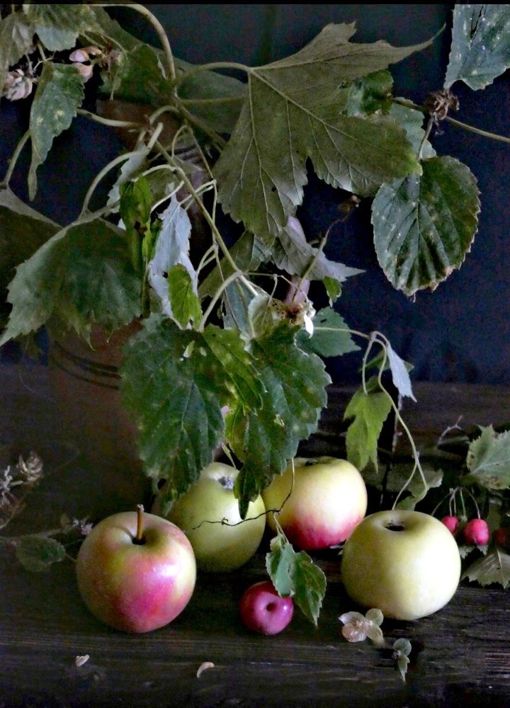 Photograph by Ирина Родионова