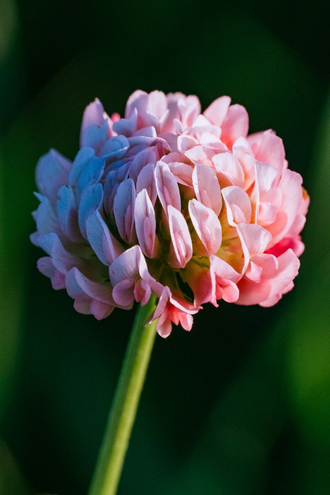 Photograph by Мария Янковская