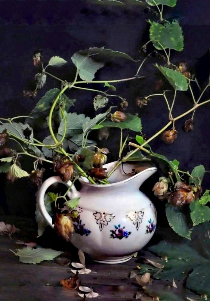 Photograph by Ирина Родионова