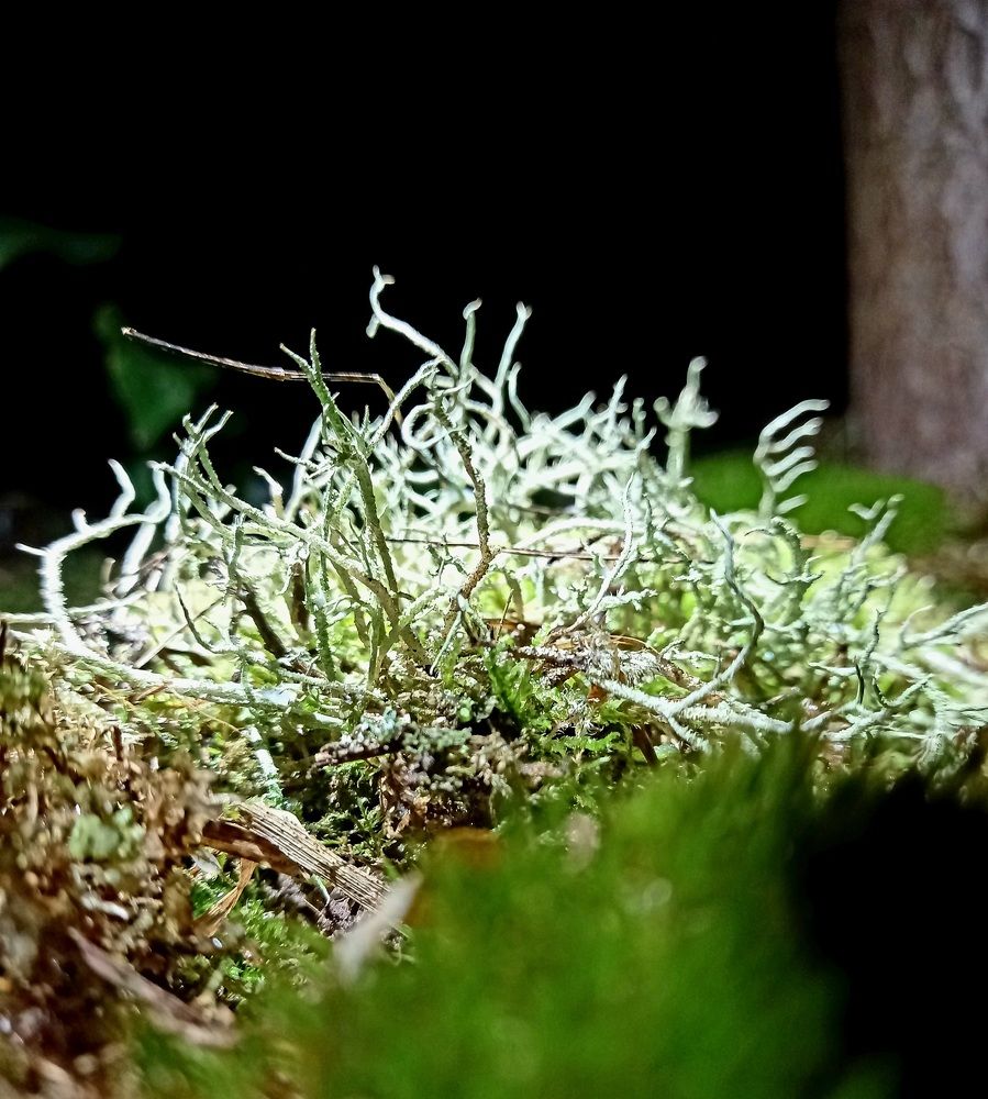 Photograph by Владимир Кублицкий