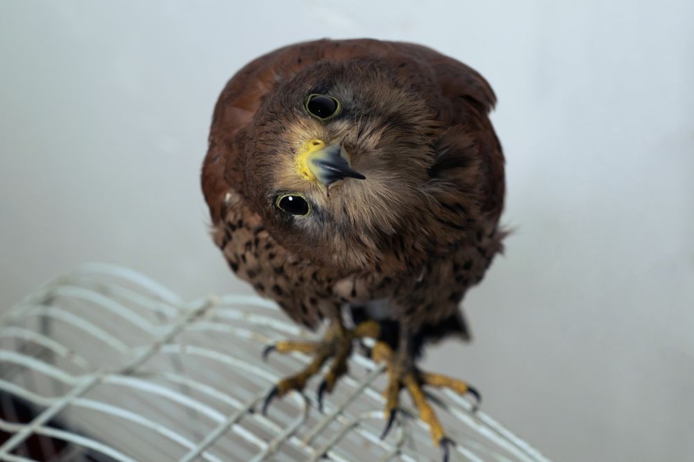 Photograph by Naderloei Mohammad amin