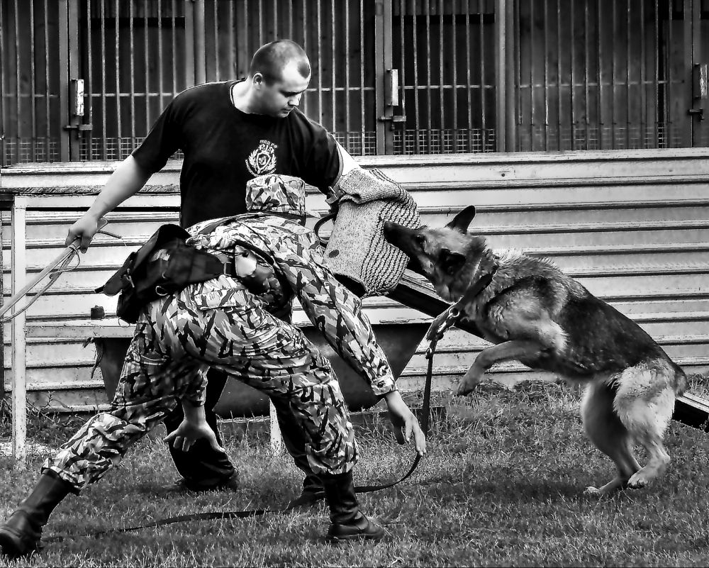 Photograph by Александр Кудрявцев