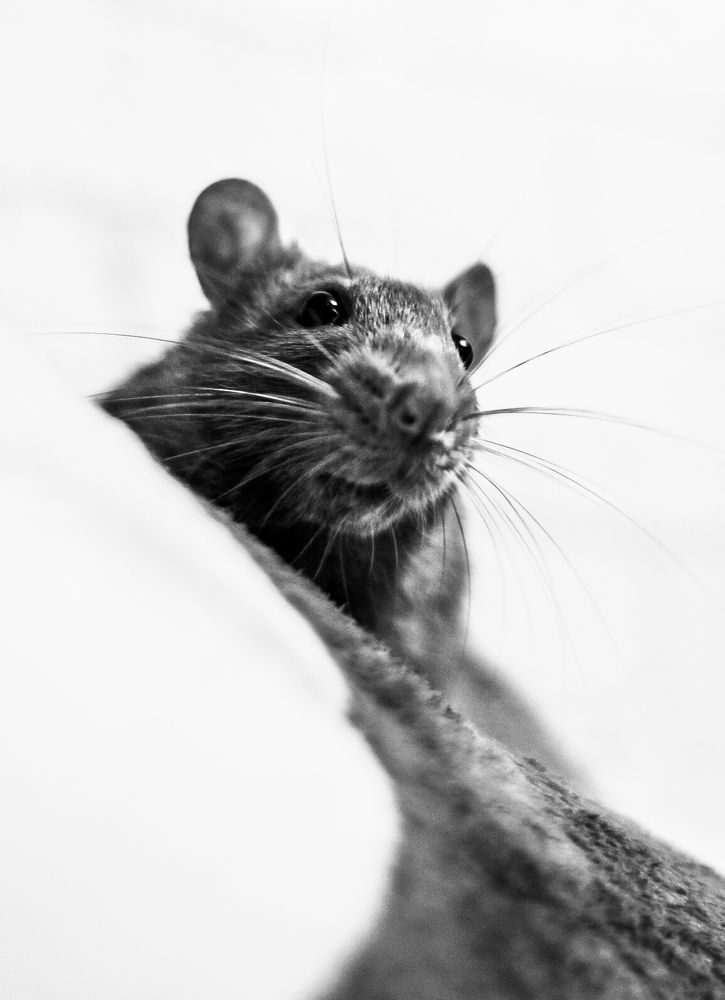 Photograph by Марина Халатова