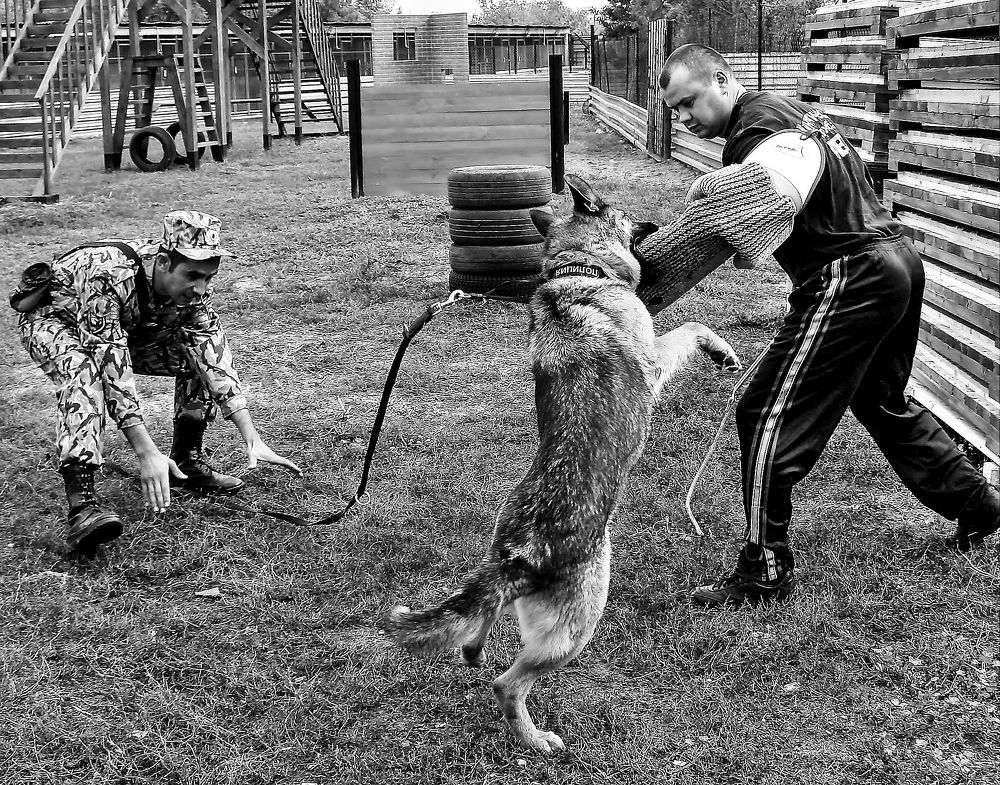 Photograph by Александр Кудрявцев