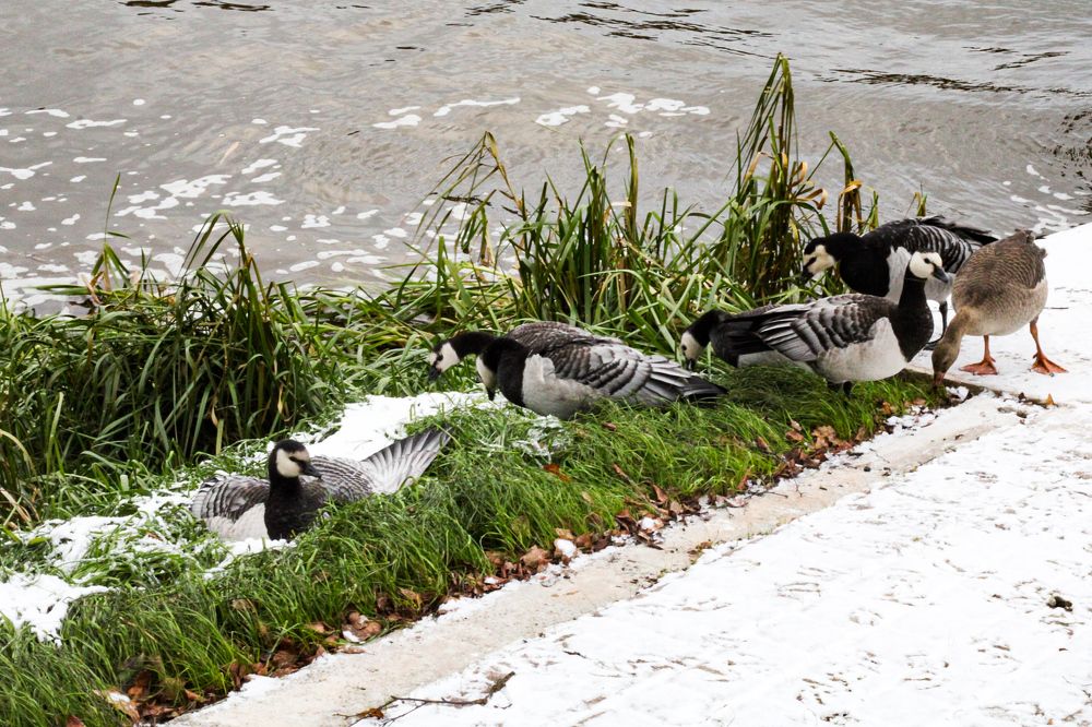 Photograph by Марина Халатова