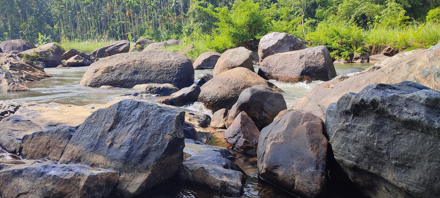 Photo #9765748