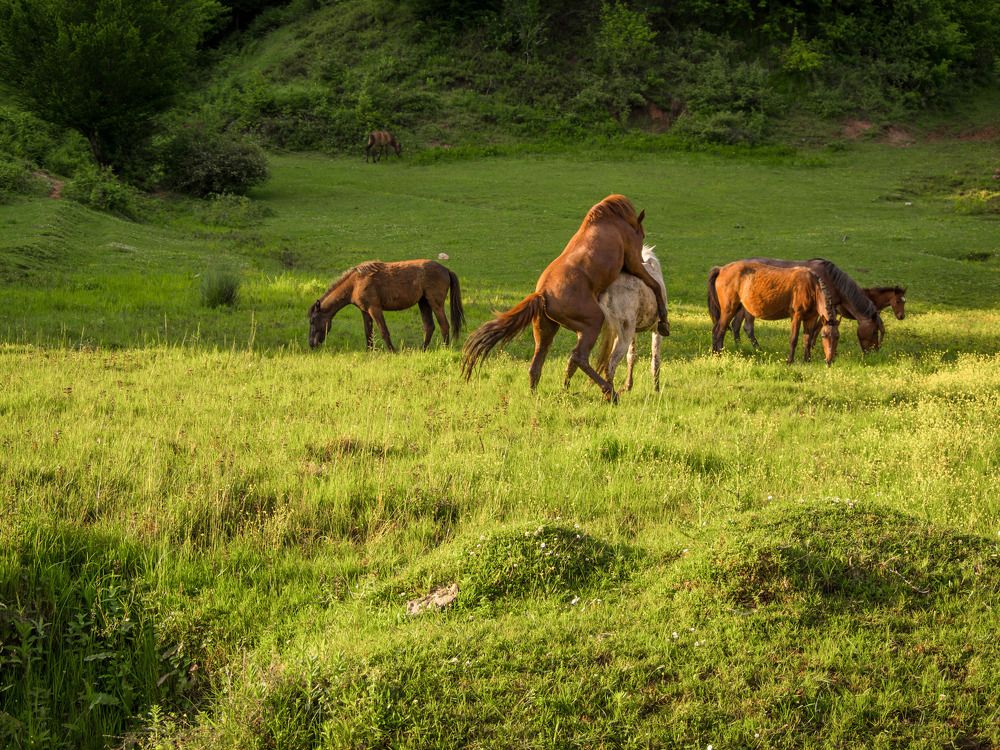 Фотография автора NECMETTİN SOBUTAY