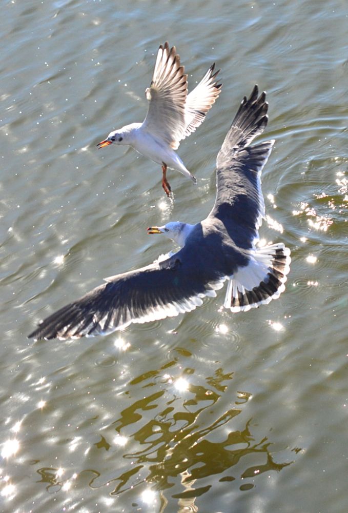 Photograph by Natalia Kopeva