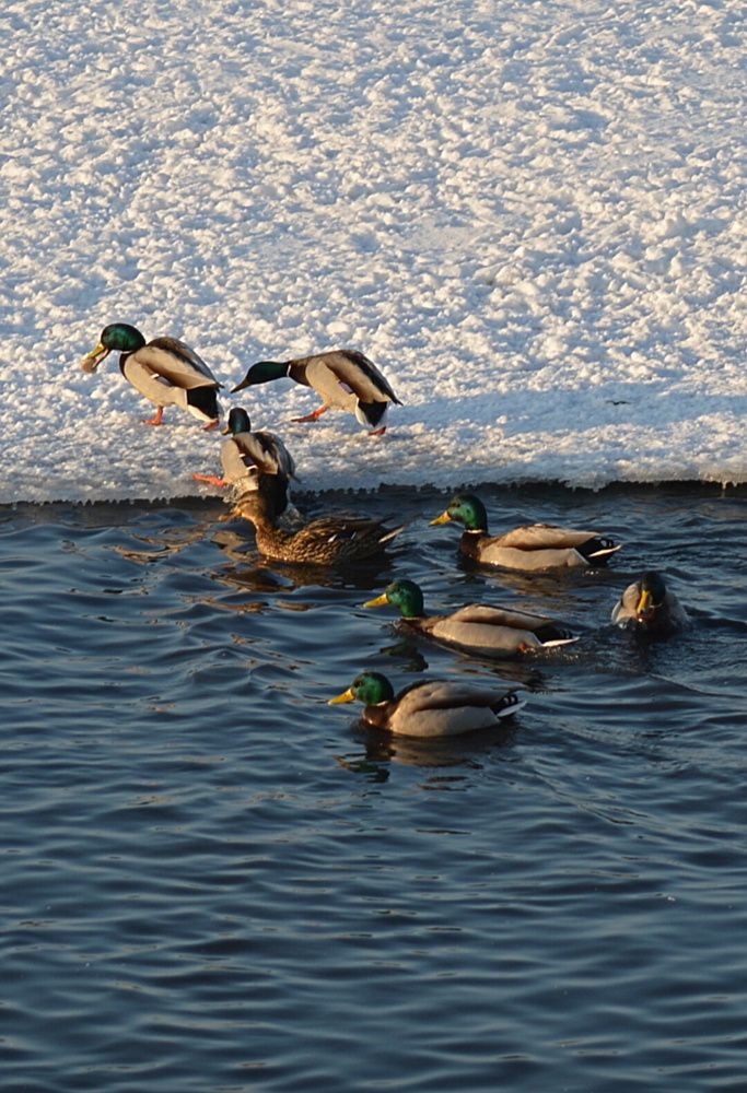 Photograph by Natalia Kopeva