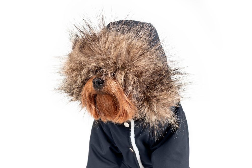 Photograph by Ирина Недикова