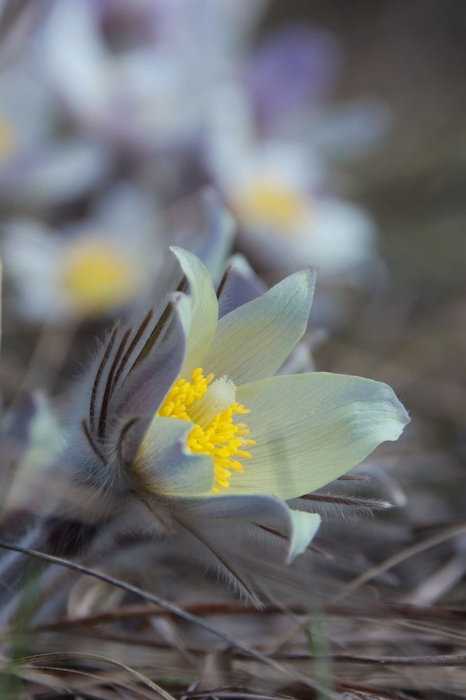 Photograph by Наталья Трифуз