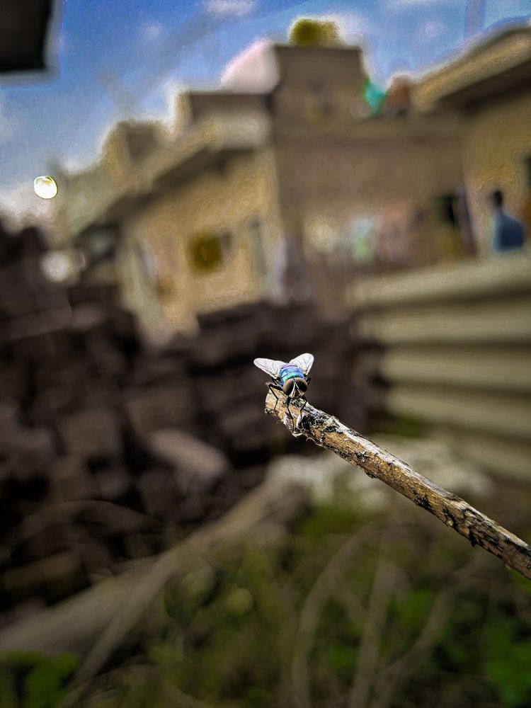 Photo #9765912