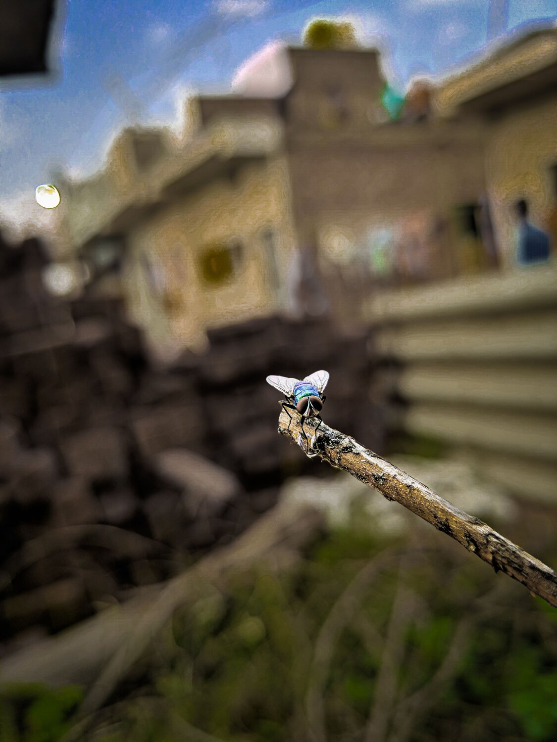 Photo #9765912