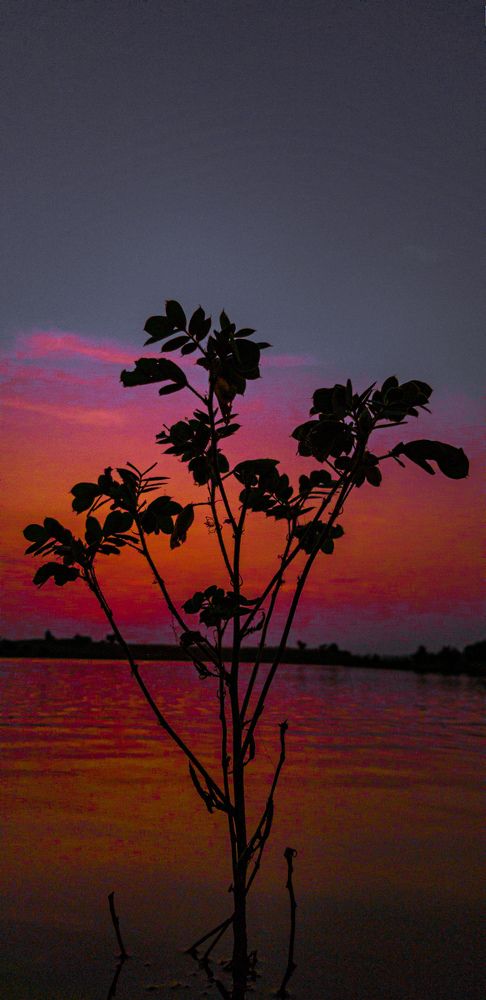 Photo #9765913