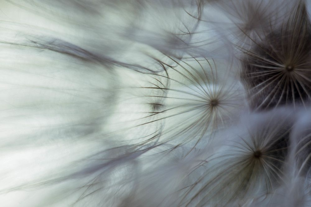 Photograph by Наталья Лещинская