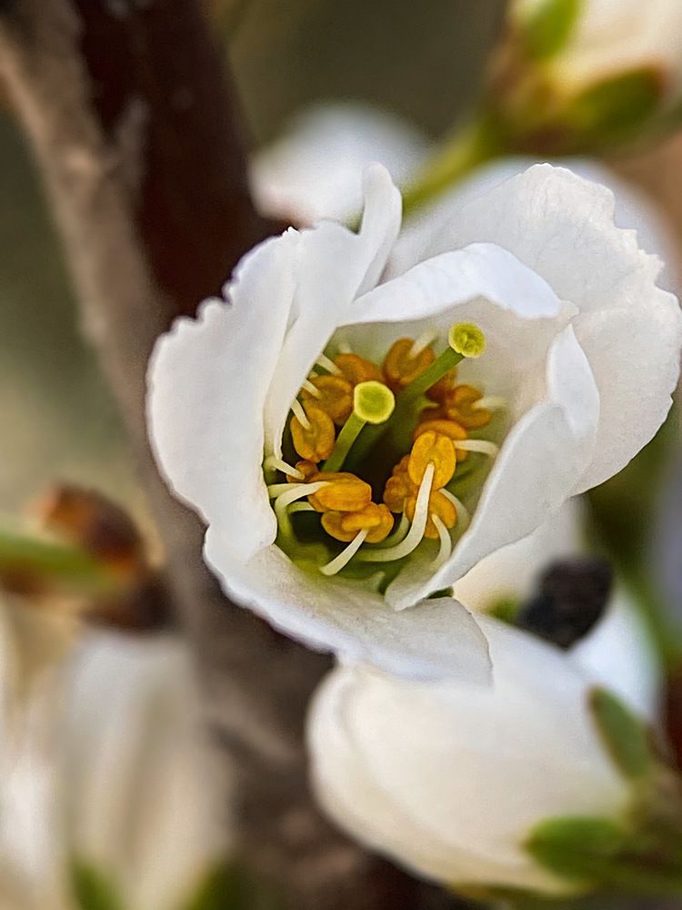 Photograph by Александра Гонтарь