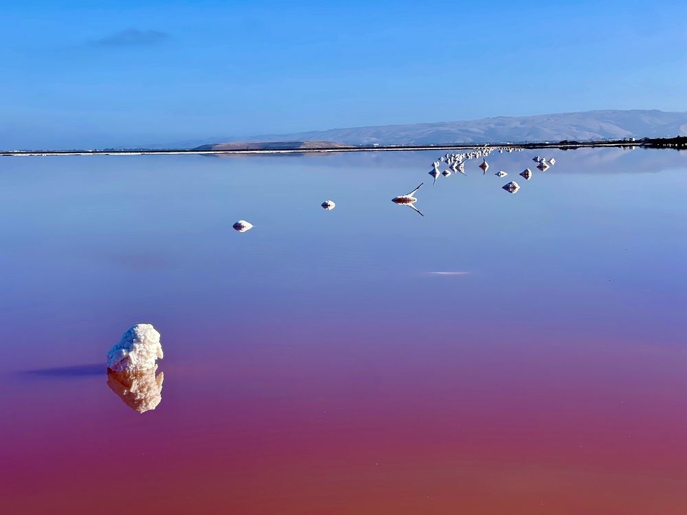 Photograph by Евгения Кожевникова