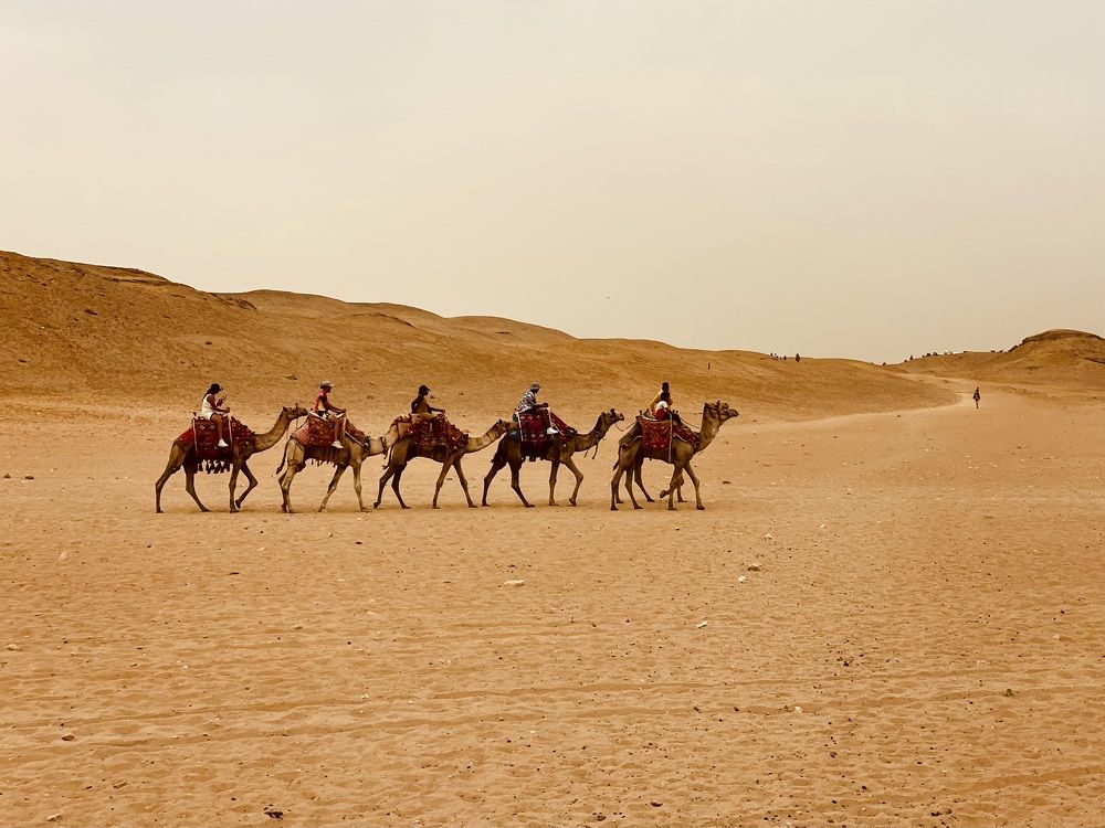 Photograph by Евгения Кожевникова