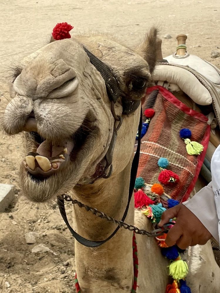 Photograph by Евгения Кожевникова