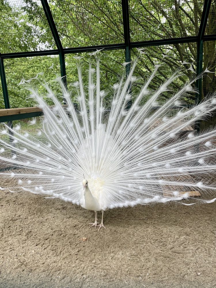 Photograph by Евгения Кожевникова