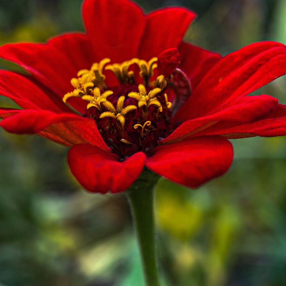 Photograph by Александра Гонтарь