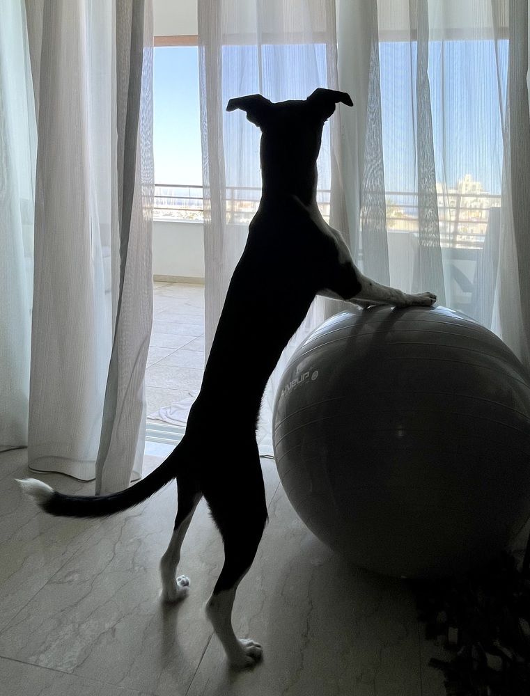 Photograph by Евгения Кожевникова