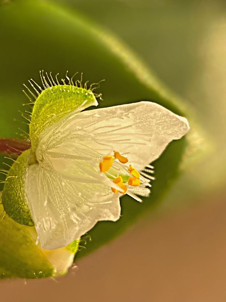 Photograph by Александра Гонтарь