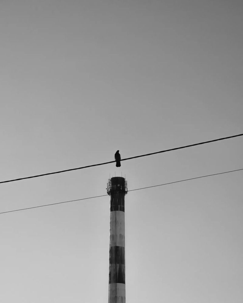 Photograph by George Pavlov