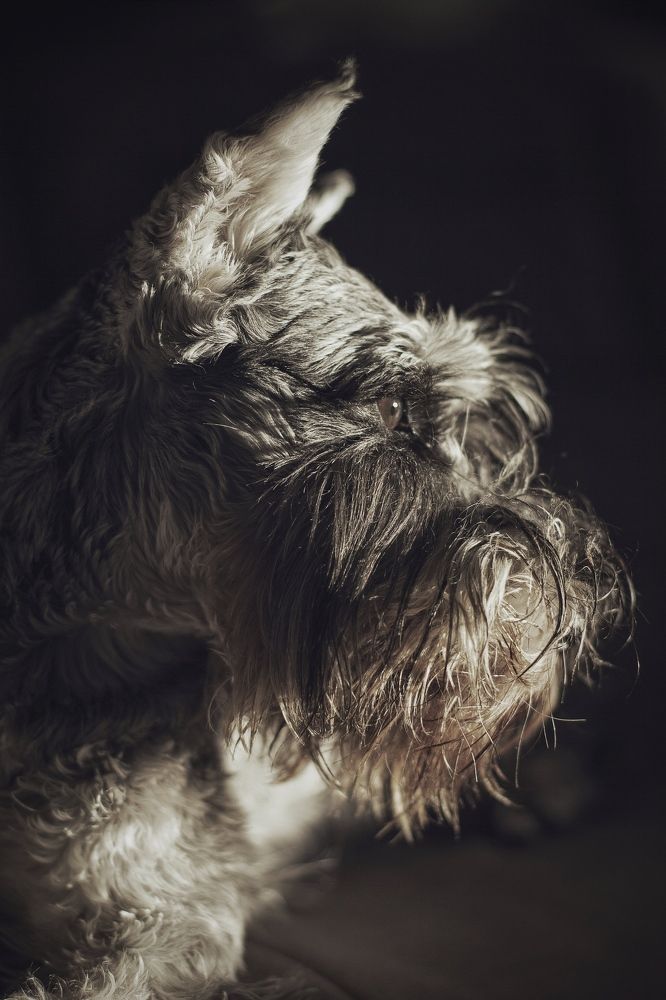 Photograph by Янтарная Елена