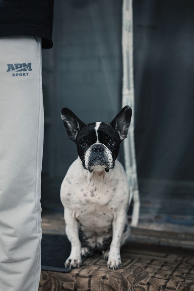 Photograph by Янтарная Елена