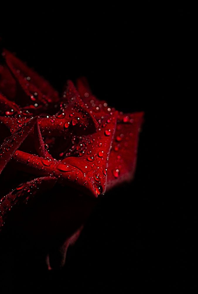 Photograph by Янтарная Елена