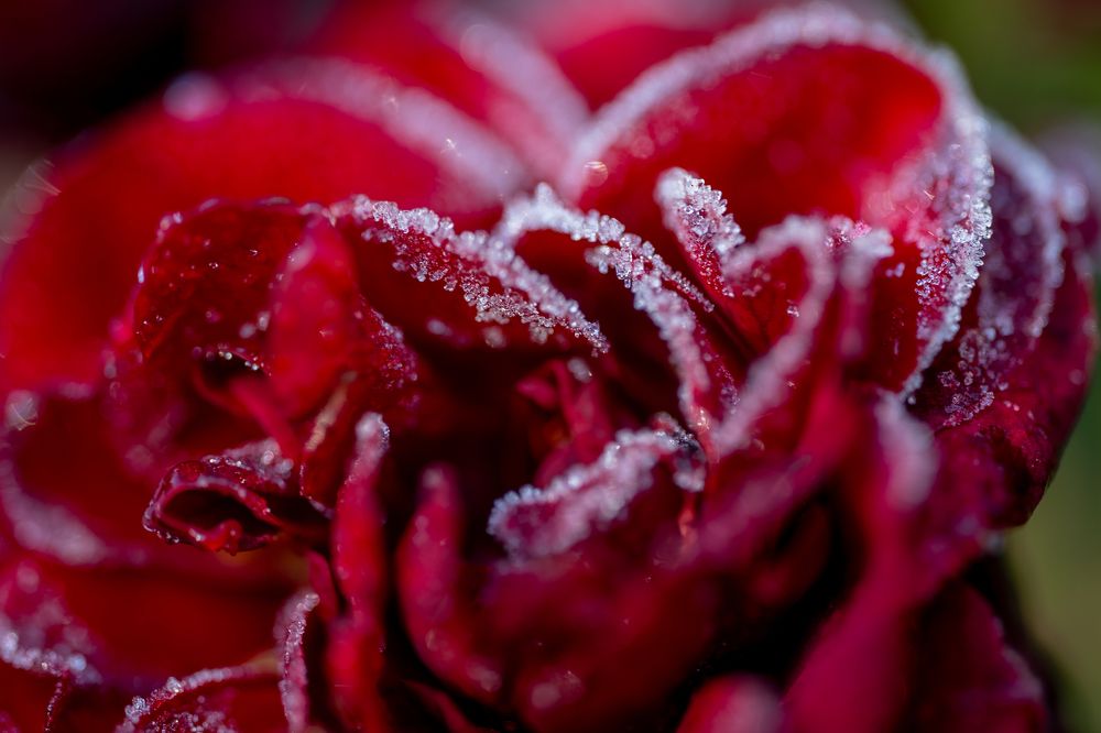 Photograph by Ольга Сесина