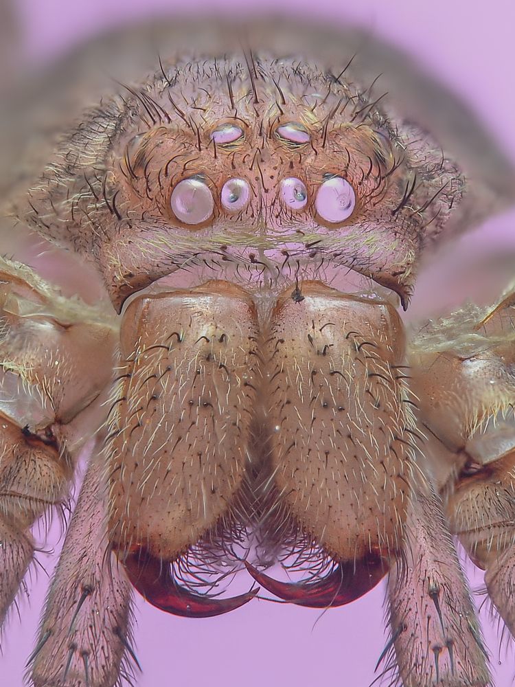 Photograph by Kasun Wickramasinghe