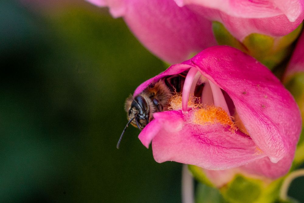 Photograph by Ольга Сесина