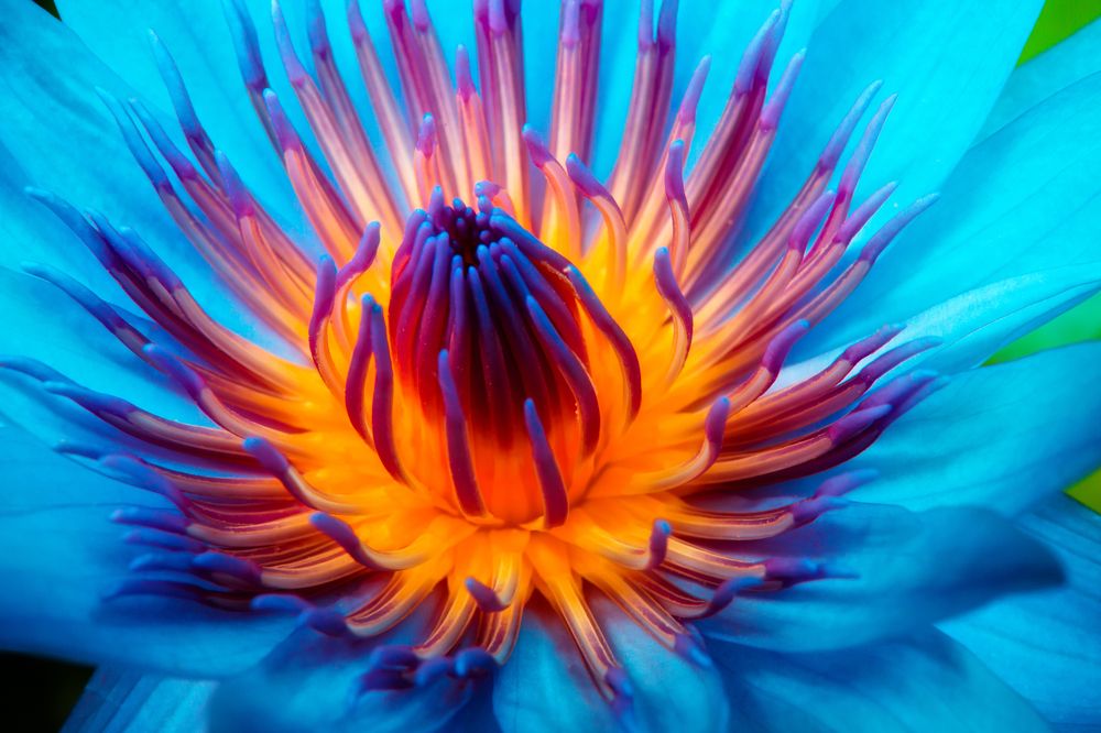 Photograph by Сергей Романченко