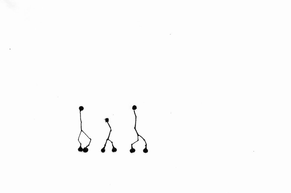 Photograph by Lyudmila Klimanova