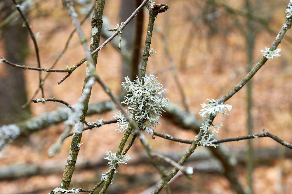 Photograph by Андрей Востриков