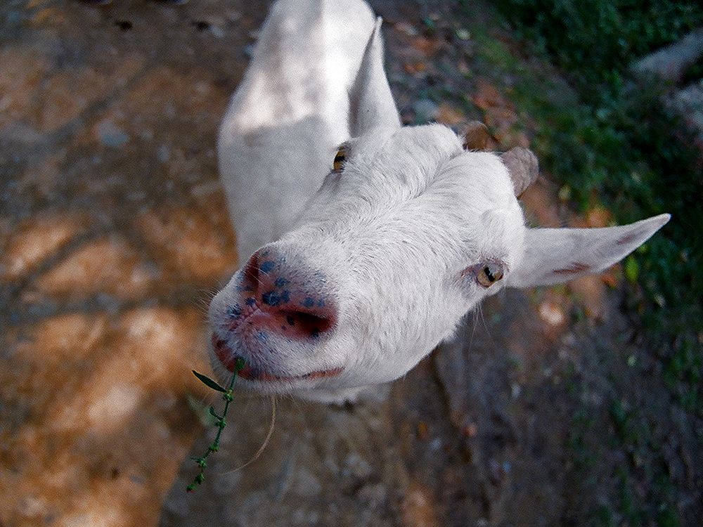 Photograph by Иван Труфанов