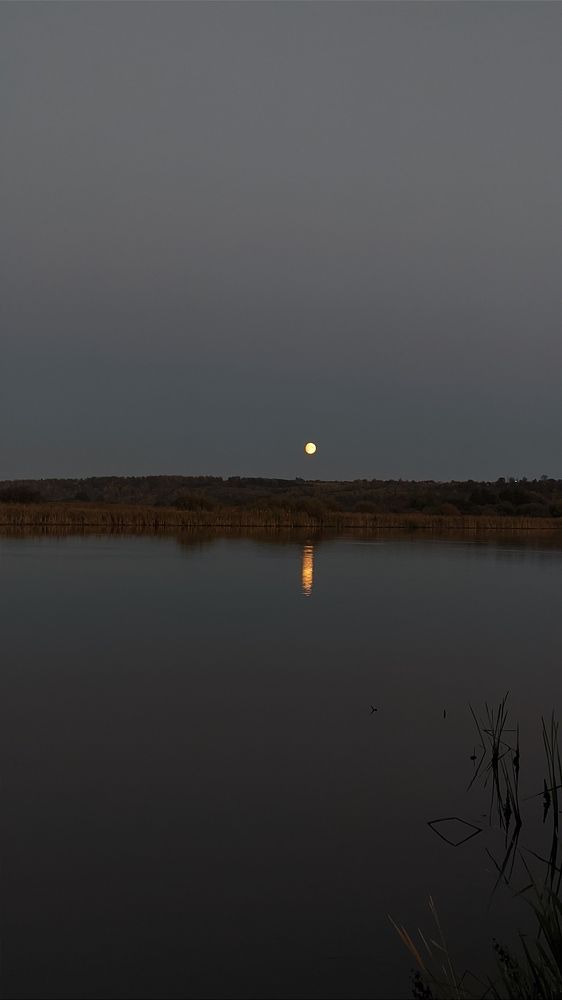 Фотография автора Васильева Ирина