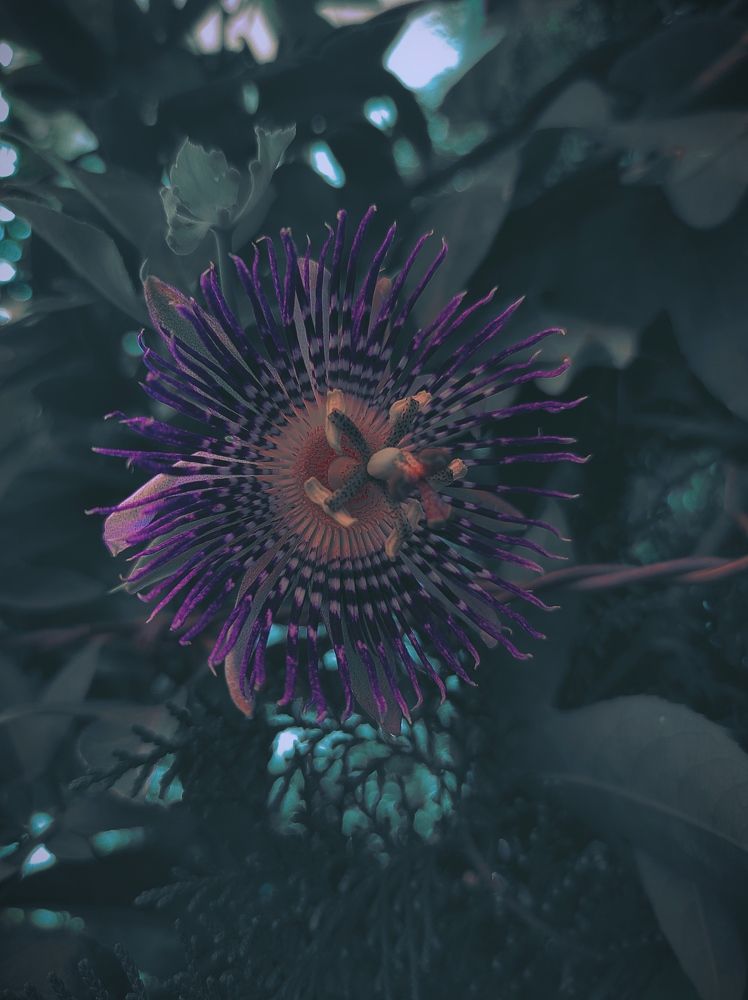 Photograph by Abhiraj Bhosale