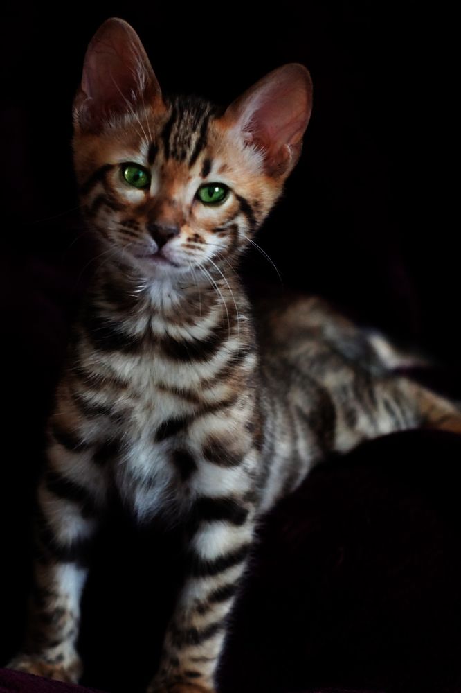 Photograph by Екатерина Слесарева