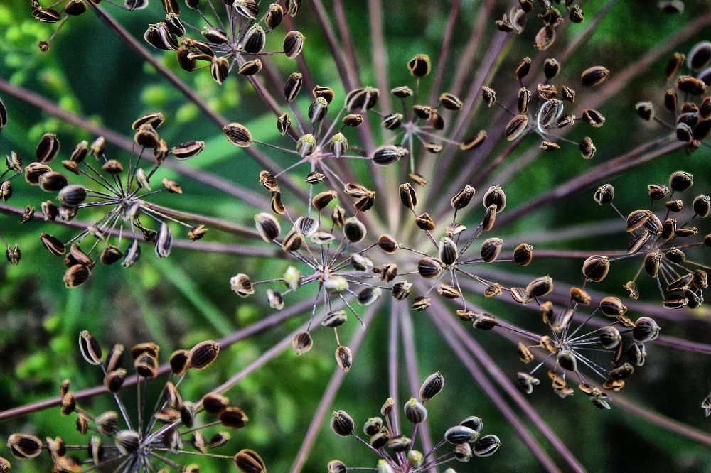 Photograph by Vitaliy Saposhnikov