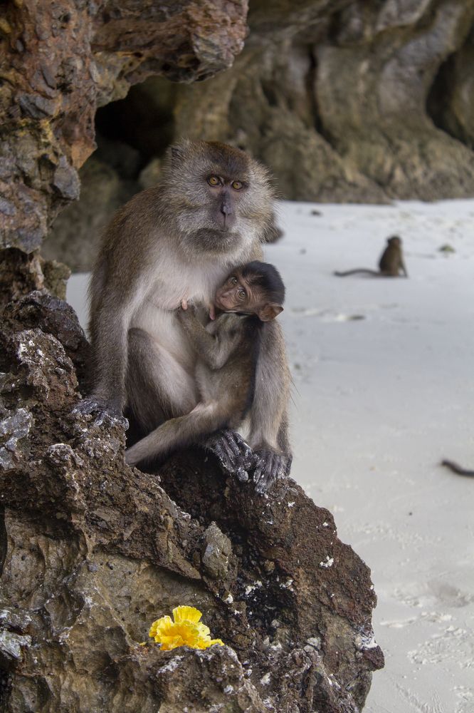 Photograph by Юлия Ковешникова