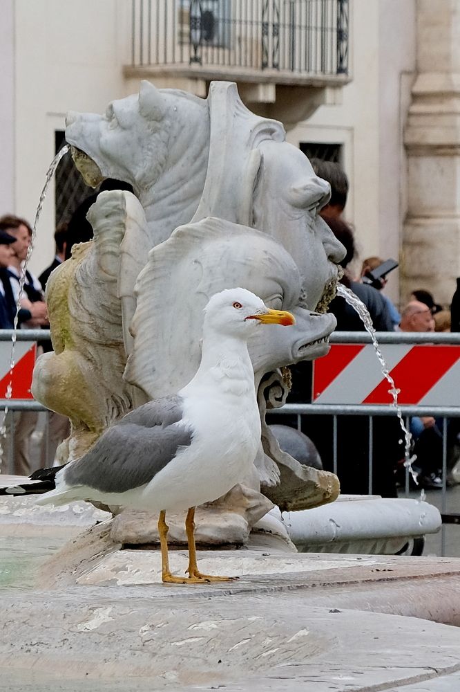 Photograph by Karchemski Arkadi