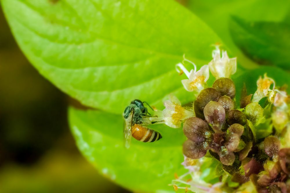 Фотография автора Fawad Hashmi