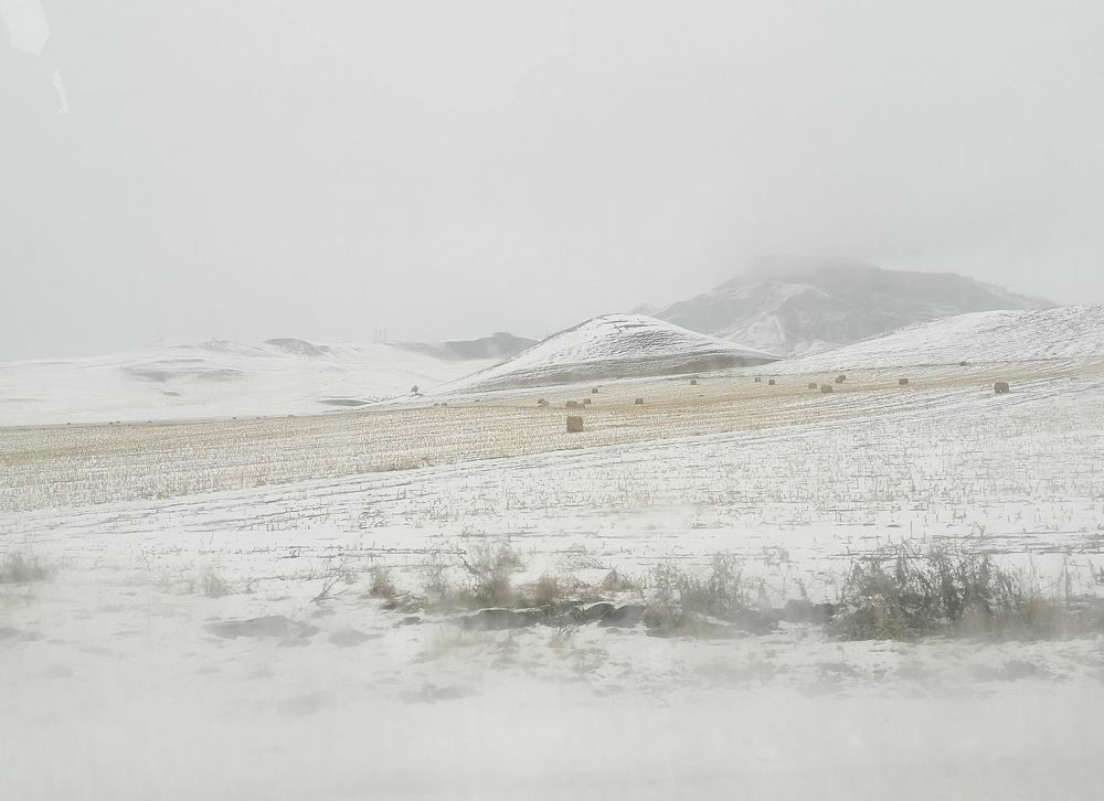 Photograph by Анна Муковозова